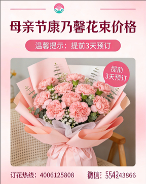 衡水阜城县花店母亲节康乃馨花束