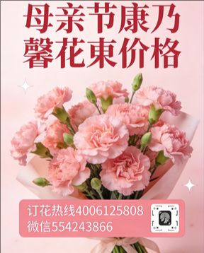 衡水阜城县花店母亲节康乃馨花束